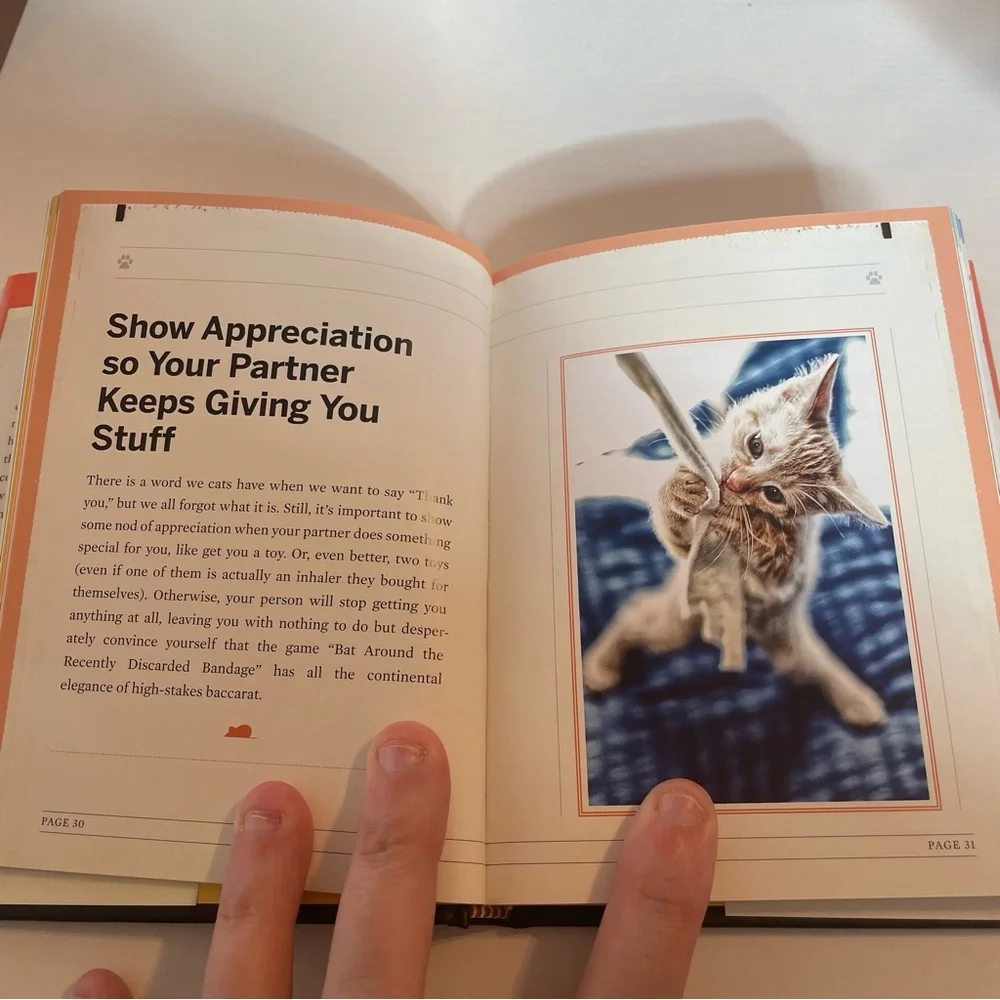 You Need More Sleep - Advice from Cats Book - Picture 3 of 3